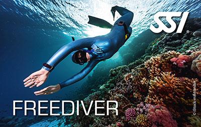 Freediving courses – breath‑hold and line training with certified instructors