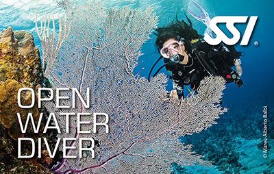 Scuba courses in Plymouth – pool and open water training